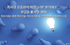 Innovative IP Securitization: STIP 'IP Exchange' Opens New Markets in IP Finance